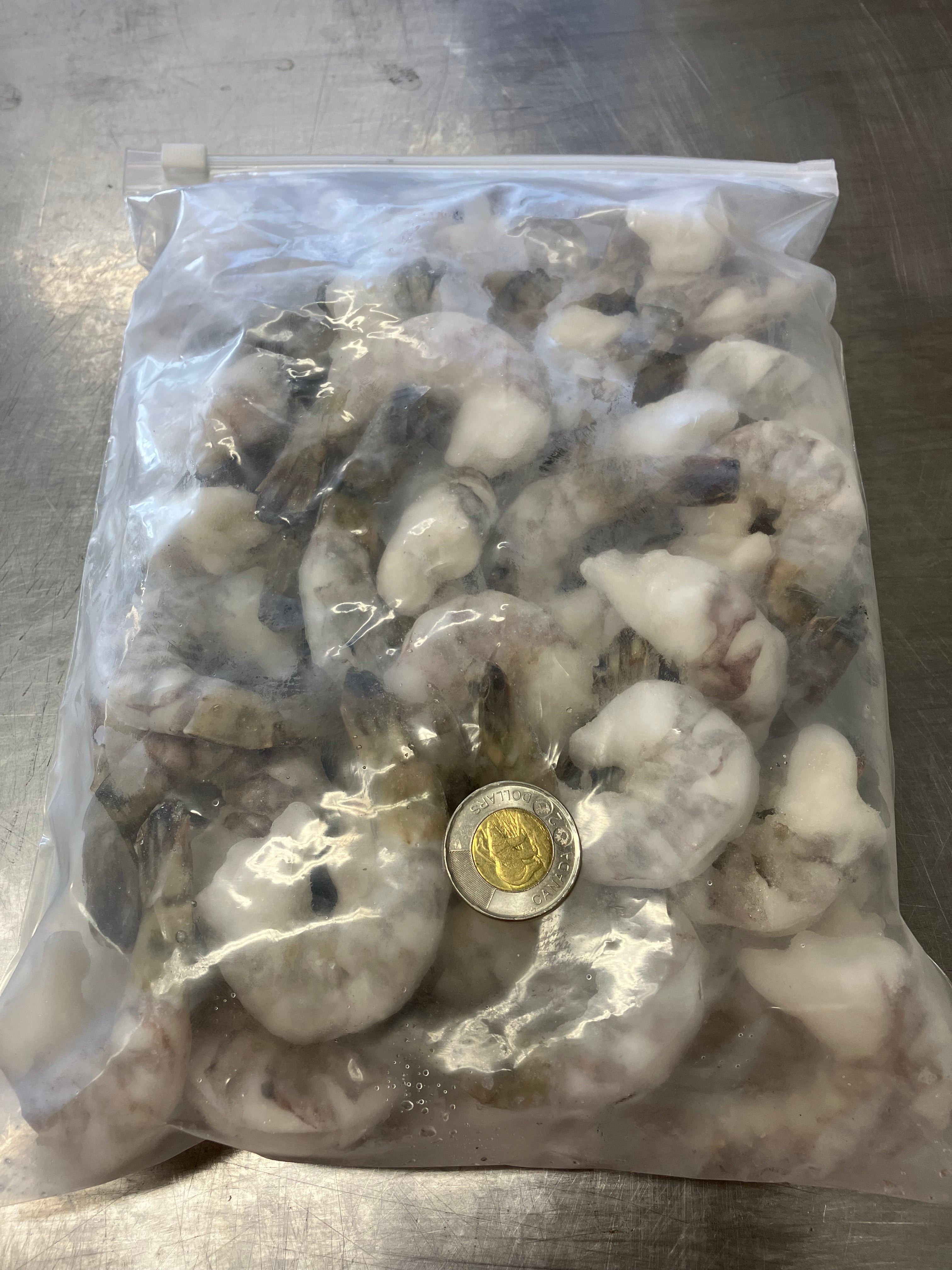 Black Tiger Shrimp