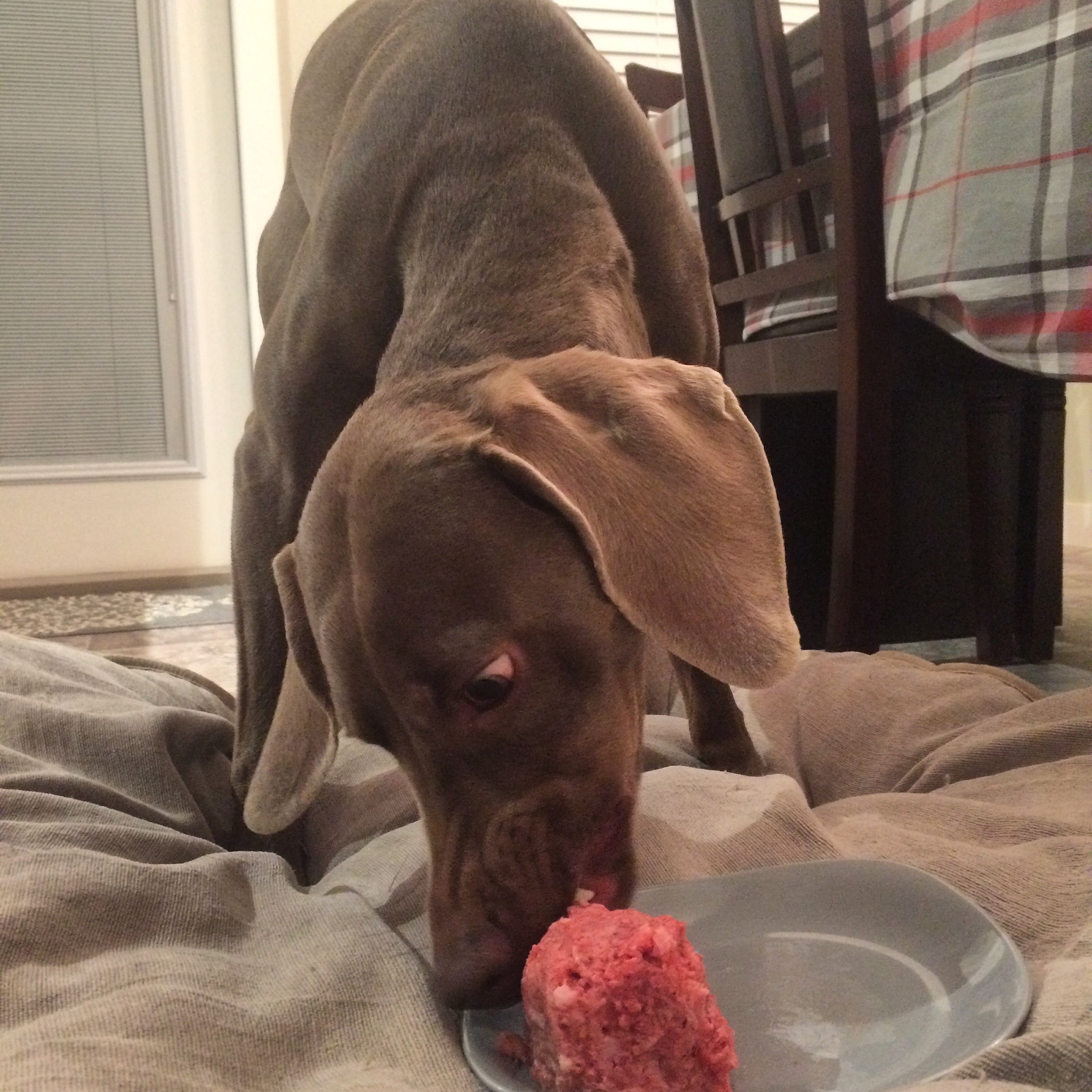 Raw Chicken Dog Food